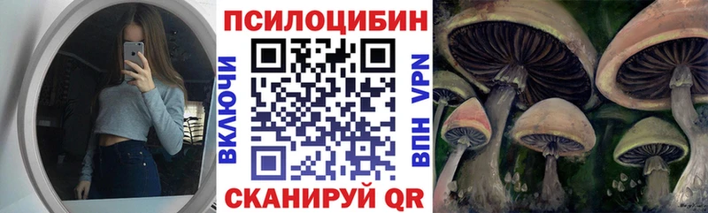 omg ССЫЛКА  Оханск  Галлюциногенные грибы Psilocybe 